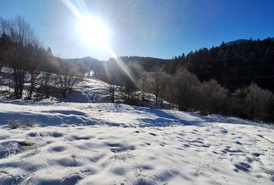 Teren de 8700 mp, în Tărlungeni - 3