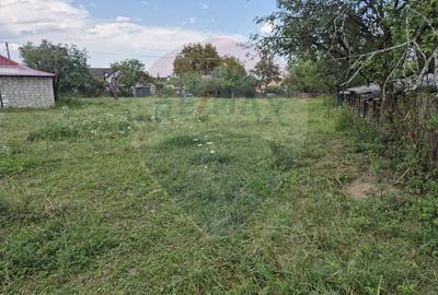 Teren Construcții intravilan de 5597 mp, în Poduri - 4