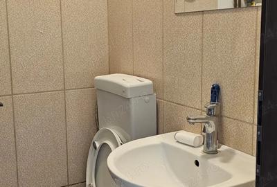 Spatiu Comercial inchiriere - 5