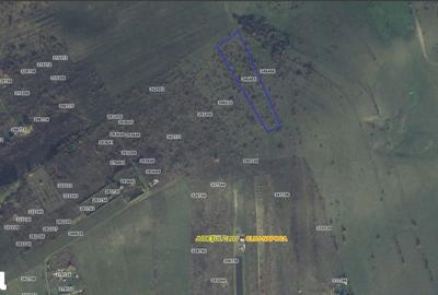 Teren de 9000 mp, în Sopor - 14