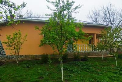 Casă lângă Roșiorii de Vede 200 m.p. Teren 2200 m.p. Sat CUCUEȚI Com SCRIOAȘTEA - 7