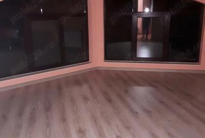 Casa cu mansarda de vanzare in Loc. Dorohoi Jud. Botosani - 7