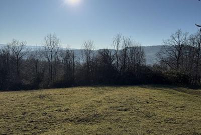 Spațiu comercial, în Șuncuiș - 10