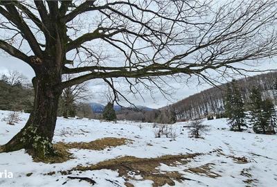 Spațiu comercial, în Poiana Brașov - 5