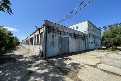 Teren | Platforma industriala 35.000 mp, Chiajna Centura Ilfov - 6