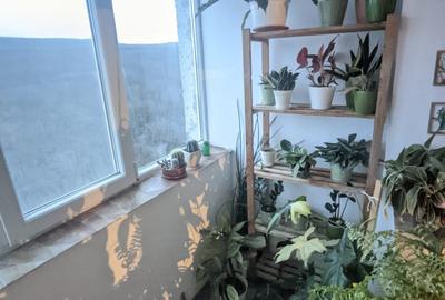 Apartament cu 2 camere decomandat în Mănăștur - 10