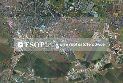 Teren de 6038 mp, în Berceni