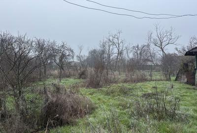 Teren de 2461 mp, în Sârbeni - 5