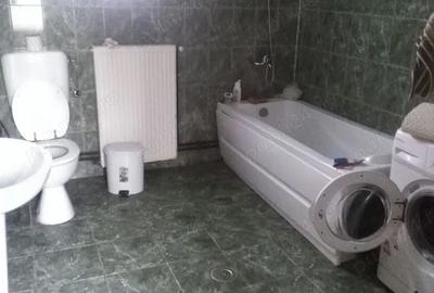 Casă cu 3 camere în Crivina - 1