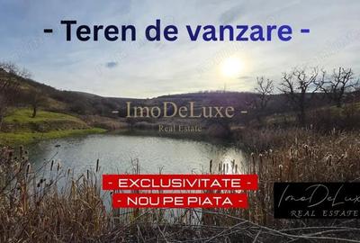 Teren extravilan langa lac, 8500mp, priveliste, acces, utilitati, zona Baciu - 2