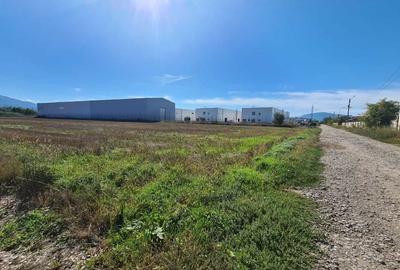 Teren Construcții intravilan de 10000 mp, în Stupini