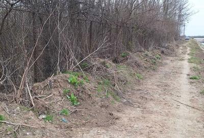 Spațiu comercial, în Dragalina - 4