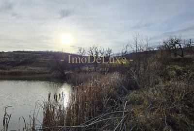 Teren extravilan langa lac, 8500mp, priveliste, acces, utilitati, zona Baciu - 2