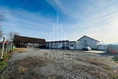 Spațiu comercial, de 430 mp, în Cristian - 10