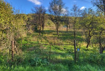 Spațiu comercial, în Deleni - 3