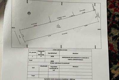 Spațiu comercial, în Malu Mare - 6