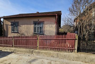 Casă cu 3 camere cu Teren 900 Mp în Cacica - 21