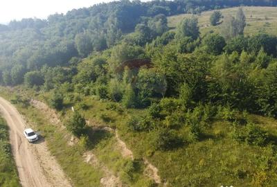 Teren de 1000 mp, în Sălicea - 6