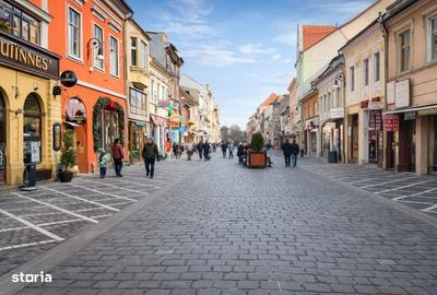 Spațiu comercial, de 198 mp, în Centrul Istoric - 9