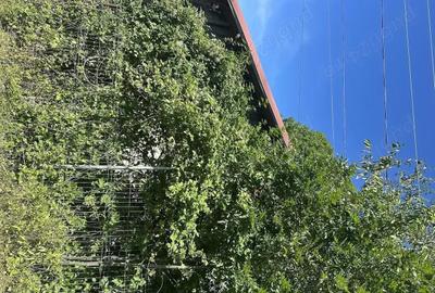 Casă cu 5 camere cu Teren 1939 Mp în Talea - 7
