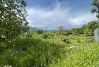 Spațiu comercial, în Cisnădioara - 5