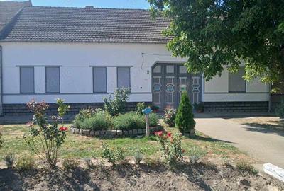 Vand casa in localitatea Bulgarus, jud, Timis. Suprafata teren 2019 mp.Suprafata constructii 420mp. - 9