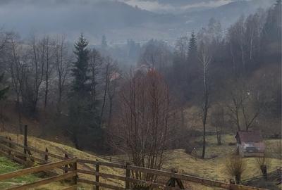 Casă cu 2 camere în Dâmbovicioara
