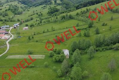 Teren intravilan de 3200 mp, în Barcani - 7