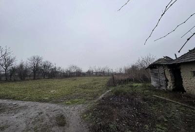 Casă cu Teren 2500 Mp în Central - 7