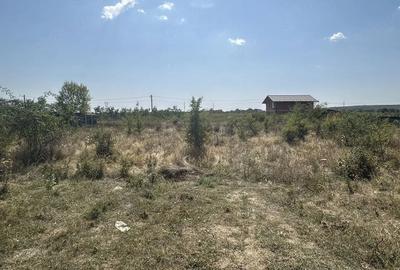 Teren de 1040 mp, în Moșoaia