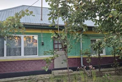 Casă cu 4 camere cu Teren 1400 Mp în Dascălu
