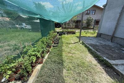 Casă individuală cu 3 camere cu Canalizare în Slobozia - 7