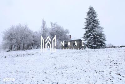 Teren de 20000 mp, în Berislăvești - 7