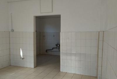 Spațiu comercial, de 40 mp, în Cișmigiu