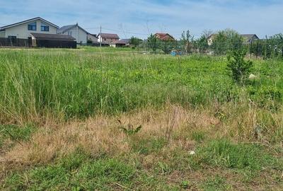 Teren de 304 mp, în Berceni - 8