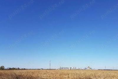Teren de 26800 mp, în Lehliu - 2