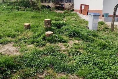 Casă cu 4 camere cu Teren 900 Mp în Sânmihaiu Almașului