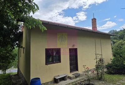 Casă cu 5 camere în Central