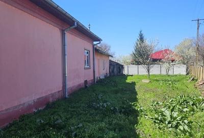 Casă cu 4 camere în Goicea - 2