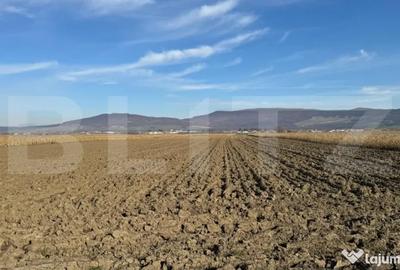 Teren de 5300 mp, în Arcalia - 3