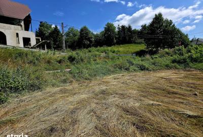 Teren de 600 mp, în Alexandru cel Bun