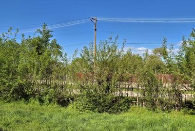 Teren Construcții intravilan de 2247 mp, în Șercăița - 11