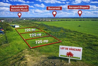 Teren Construcții intravilan de 720 mp, în Balotești - 2