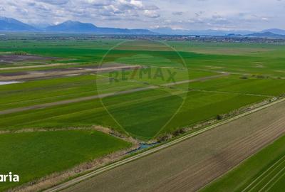 Teren de 4000 mp, în Prejmer - 11