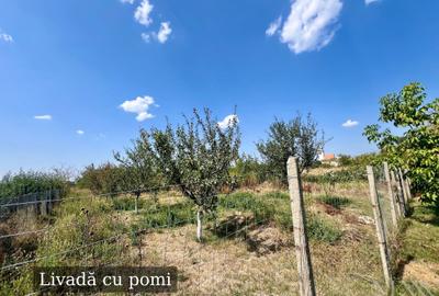 Casă individuală cu 4 camere cu Teren 1900 Mp în Tileagd - 3