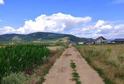 Teren Construcții intravilan de 10000 mp, în Hărman - 2