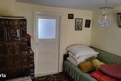 Casă cu 3 camere cu Teren 3200 Mp în Vârteșcoiu - 11