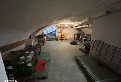 Spațiu comercial, de 274 mp, în Aradul Nou - 10