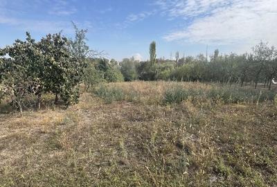 Casă cu 3 camere în Călacea