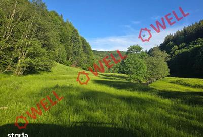 Teren de 57000 mp, în Vama Buzăului - 9
